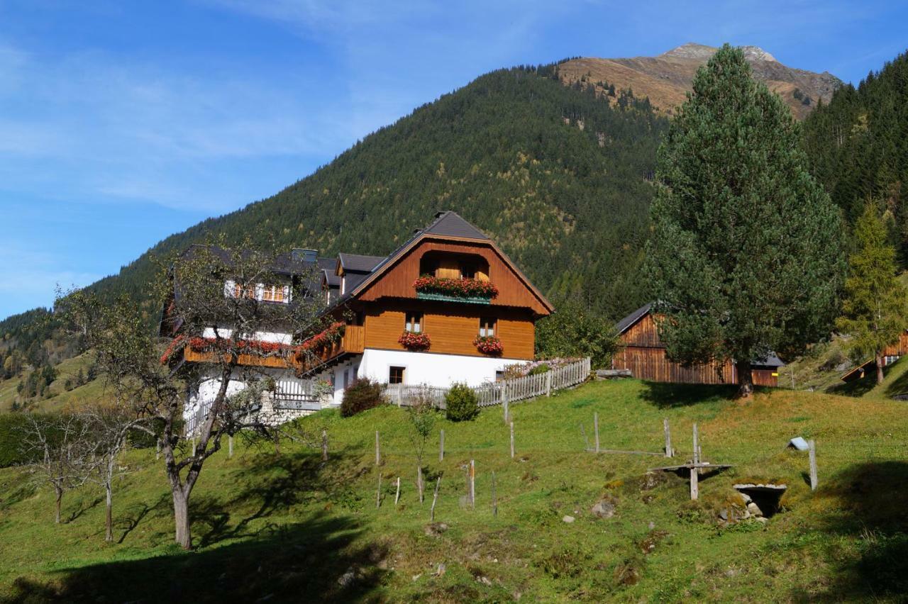 Вілла Biobauernhof Spieszschweiger Sankt Nikolai im Solktal Екстер'єр фото