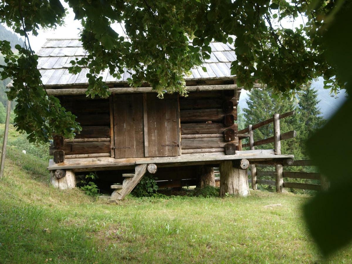 Вілла Biobauernhof Spieszschweiger Sankt Nikolai im Solktal Екстер'єр фото