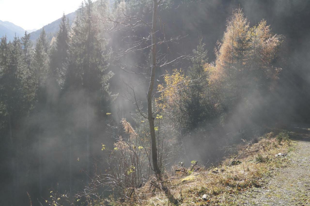 Вілла Biobauernhof Spieszschweiger Sankt Nikolai im Solktal Екстер'єр фото